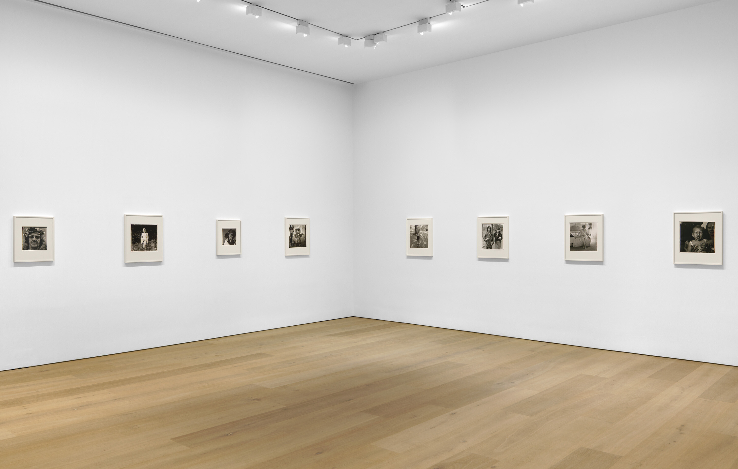 Cataclysm: The 1972 Diane Arbus Retrospective Revisited - Installation ...