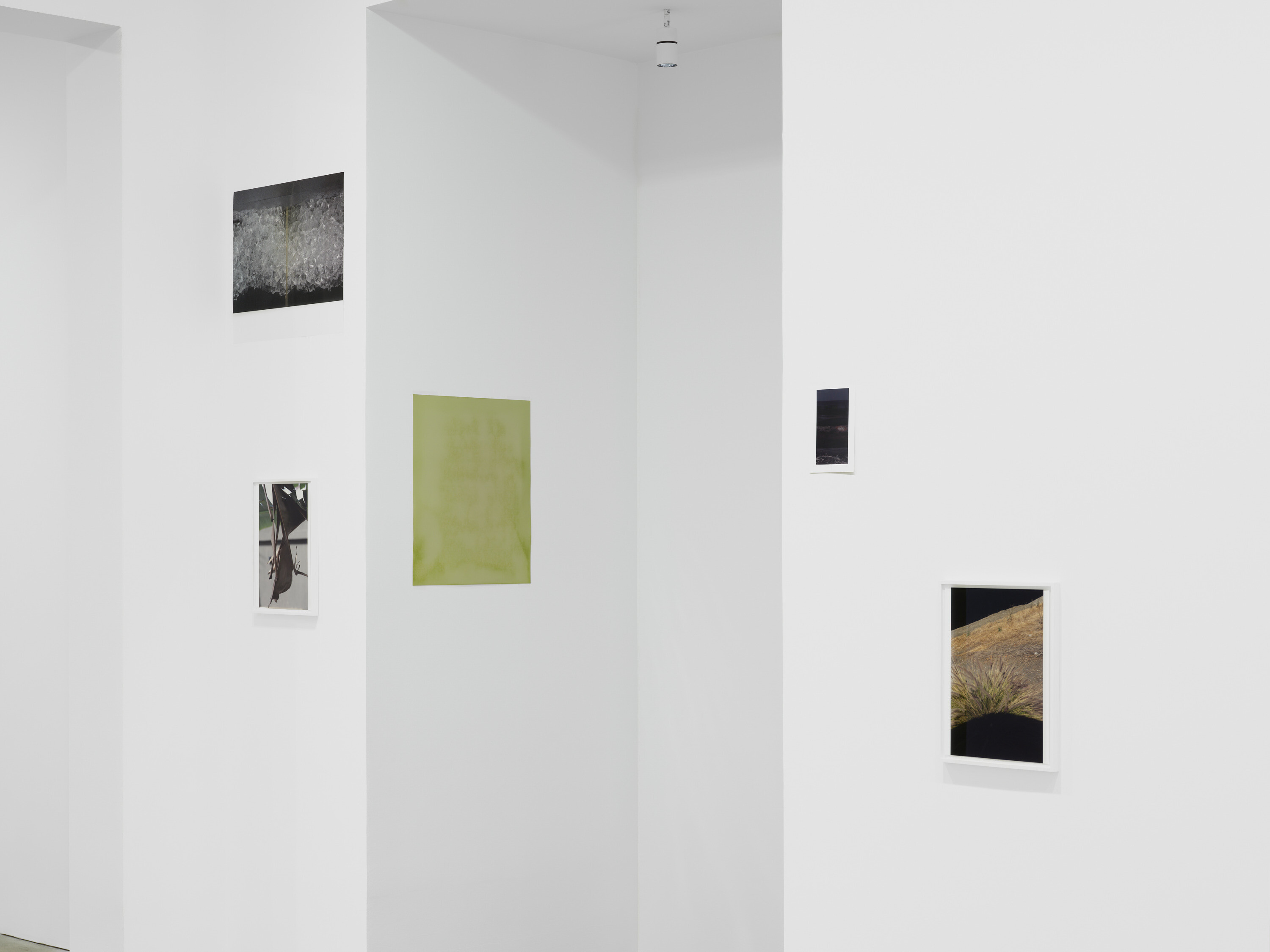 Wolfgang Tillmans: The Point Is Matter | Hong Kong | March 25—May 11 ...